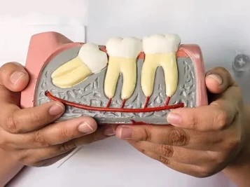 Stanley Dental Chair