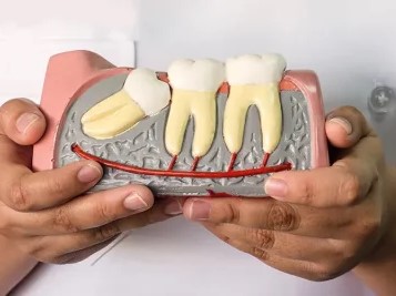 Stanley Dental Chair